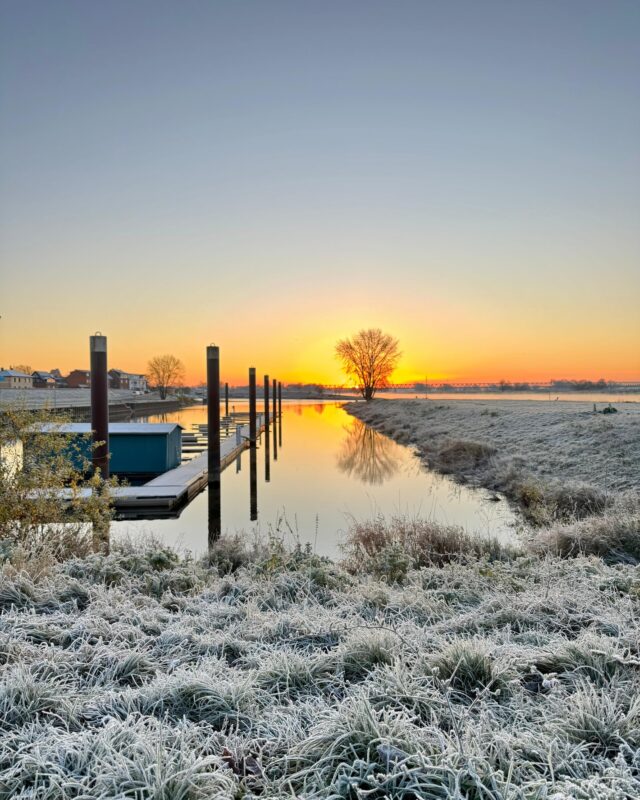 Stell dir vor, das hier ist deine Aussicht.🌅🌾✨🚍Vielleicht aus dem Camper,
vielleicht vom Tisch im zukünftigen Restaurant am Hafen.Die Elbe zeigt im Winter ihre ganz eigene Magie:
klare Luft, stille Momente und Farben, die man nur hier findet.
Ein perfekter Ort für kleine Auszeiten – direkt am Wasser.