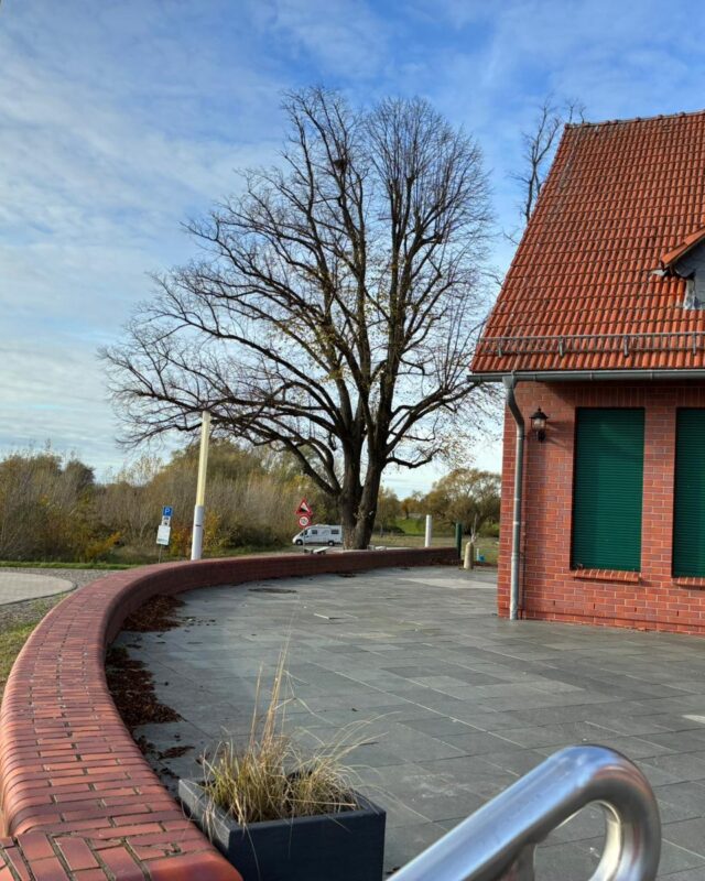 Nicht nur im Gebäude, auch im Außenbereich entwickelt sich elbwärts.GENUSS 👨🍳weiter.Die Terrasse wird erneuert. Die bisherigen Platten werden zurückgebaut, da sie zu viele Stolperstellen aufweisen. Stattdessen entsteht ein neuer, durchdachter Belag, der langfristig mehr Sicherheit und Komfort bietet.So entsteht Schritt für Schritt eine Fläche, die später mehr sein soll als nur ein Außenbereich. Hier werden Gäste sitzen, Gespräche führen, anstoßen, essen, lachen und den Blick über die Elbe genießen. Die Terrasse wird ein Ort, an dem man gern etwas länger bleibt, vielleicht noch auf ein weiteres Getränk, vielleicht einfach, weil die Stimmung gerade genau richtig ist.Nachhaltigkeit bedeutet für uns nicht nur neue Konzepte, sondern auch
verantwortungsbewusst zu entscheiden, wo Bestehendes sinnvoll ist und wo eine neue Lösung einfach die bessere Wahl ist. Genau diesen Weg gehen wir hier.Noch ist es Baustelle. Bald ist es einer der schönsten Plätze mit Blick aufs Wasser.🌅🌾🌊