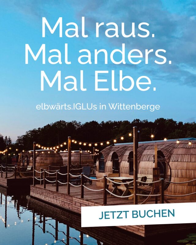 Sportbootanger "Nedwighafen" — photo 3