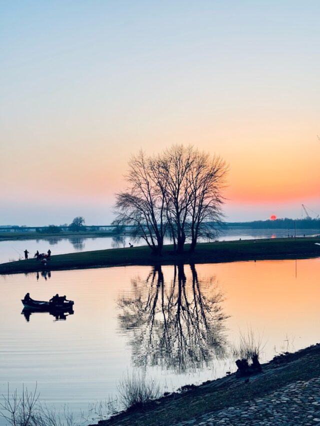 Auch auf den Stellplätzen 🚍von elbwärts.455 geht es weiter.
Künftig gibt es zwei Bereiche:
elbwärts.ELBEBLICK 🌊und elbwärts.HAFENBLICK⚓️.
Aktuell entstehen neue Parzellierungen, damit jeder Gast seinen klar definierten
Bereich hat, mit mehr Struktur und mehr Privatsphäre.
Im Bereich elbwärts.HAFENBLICK setzen wir auf moderne Betonblöcke, die für klare Linien und dauerhafte Ordnung sorgen.
Bei elbwärts.ELBEBLICK kommen natürliche Baumstämme zum Einsatz, die sich harmonisch in die Umgebung einfügen und dem Platz einen ruhigeren, naturnahen Charakter geben🪵🌳🌾.
Unser Ziel:
Mehr Übersicht.
Mehr Komfort.
Mehr Klarheit für alle Gäste.
So entstehen Schritt für Schritt zwei moderne Stellplätze direkt an der Elbe,
durchdacht, unterschiedlich im Charakter und mit viel Raum zum Ankommen.
Die Fertigstellung ist für April geplant. 💚
Wir freuen uns schon darauf, wenn hier die ersten Camper entspannt den
Sonnenuntergang genießen.
